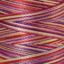 Spule Poly Sheen Multi Wild Flowers, bunt mit Beere, Violett, Gelb und Rot
